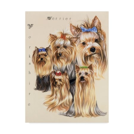 Barbara Keith 'Terrier' Canvas Art,24x32